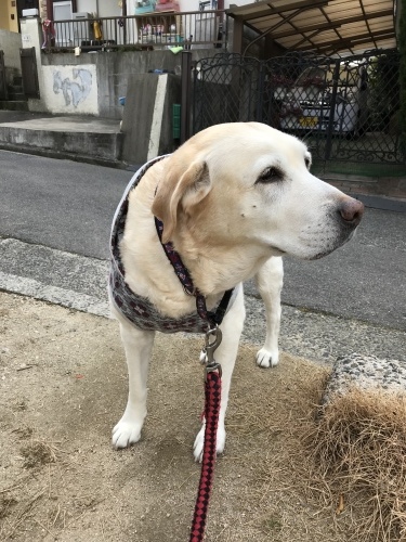 f0315081_20292234.jpeg