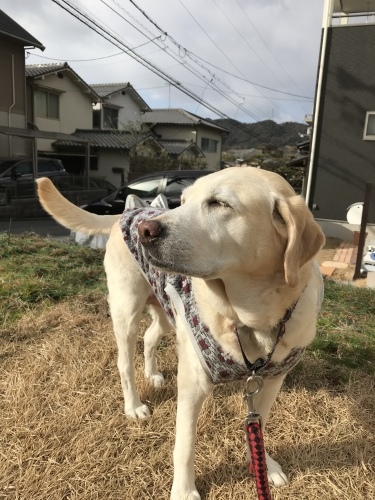f0315081_20322025.jpeg