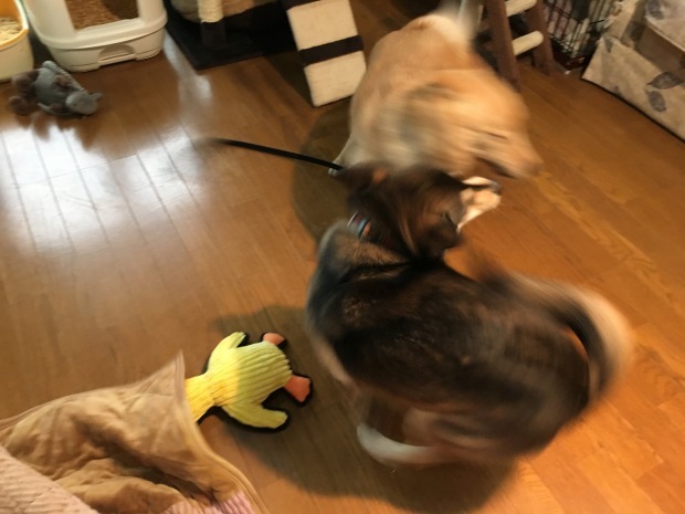b0377882_00221092.jpeg