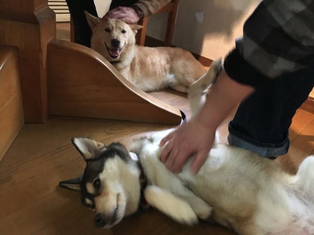 b0377882_00223039.jpeg