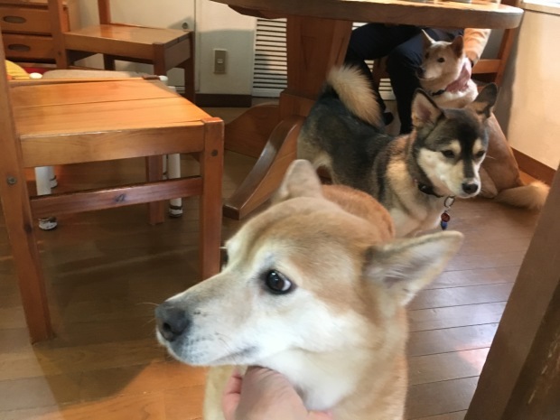 b0377882_00232391.jpeg