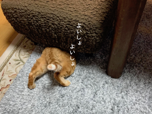 a0216583_21192446.png