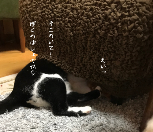 a0216583_21194460.png