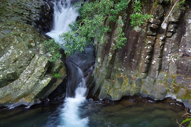 c0324983_22213273.jpg
