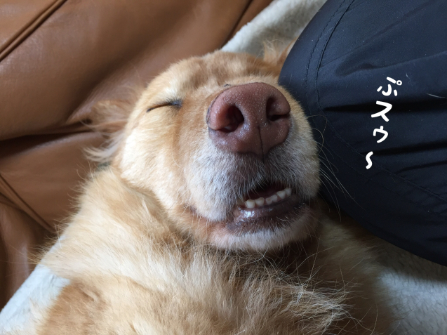 c0332184_18140631.jpeg