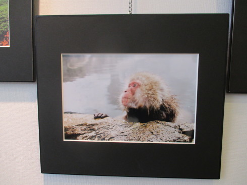 ほのぼの写真展_e0190287_14453131.jpg