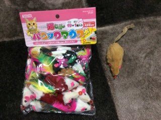 b0035391_23434826.jpeg