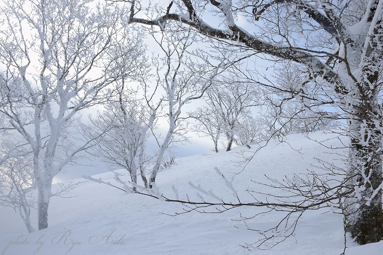 樹氷がきれい_f0332795_22563394.jpg