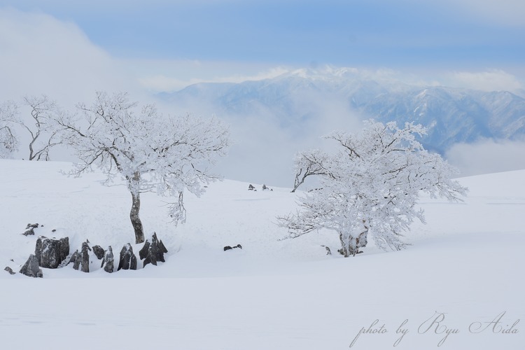 南には御在所岳_f0332795_22565501.jpg