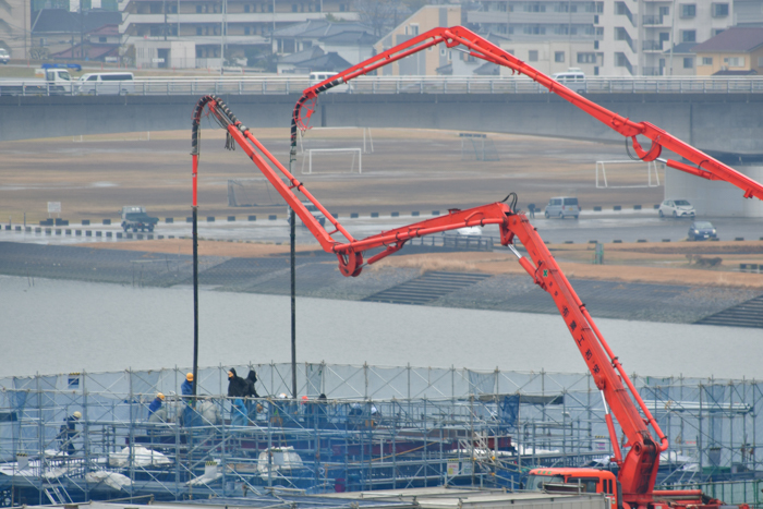 大淀川の白鳥日記と、いろいろ観察♪　(^o^)_c0049299_20515676.jpg