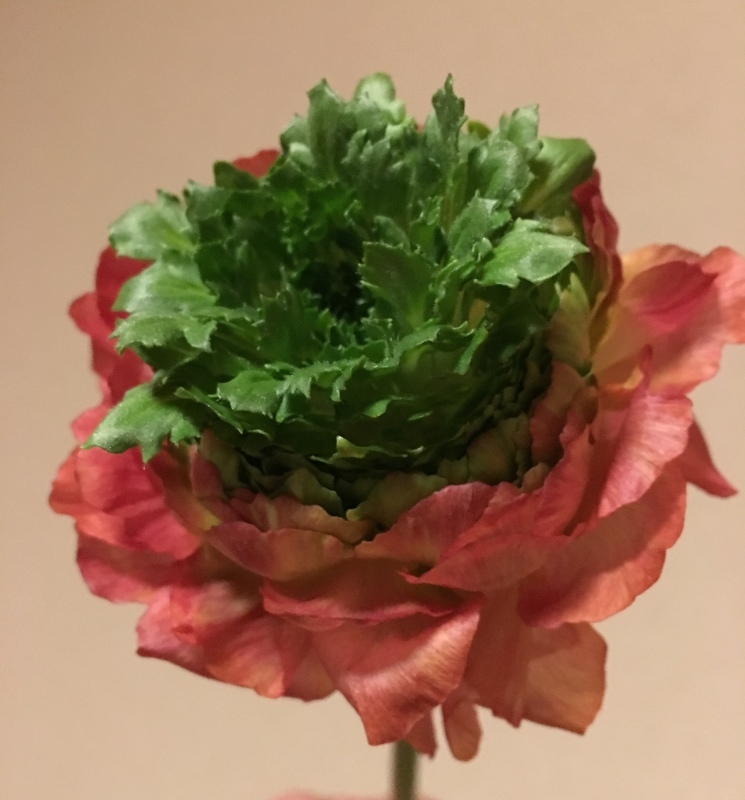 b0220002_19564680.jpeg