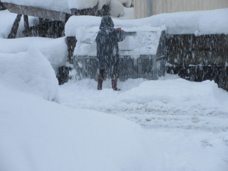 また雪・スノーダンプ新調_a0203003_17185086.jpg