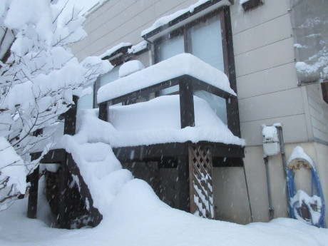 また雪・スノーダンプ新調_a0203003_17191420.jpg