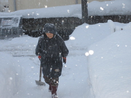 また雪・スノーダンプ新調_a0203003_17195262.jpg