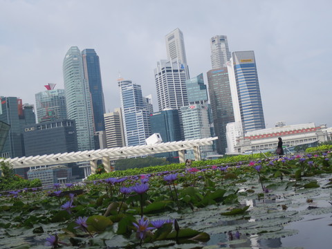 c0212604_200142.jpg