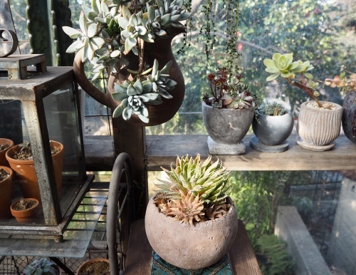 d0179410_16181210.jpeg