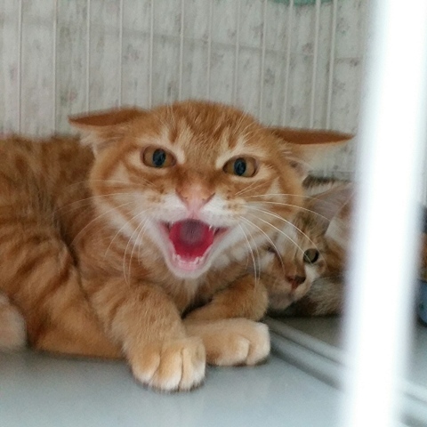 e0144012_03021117.jpeg