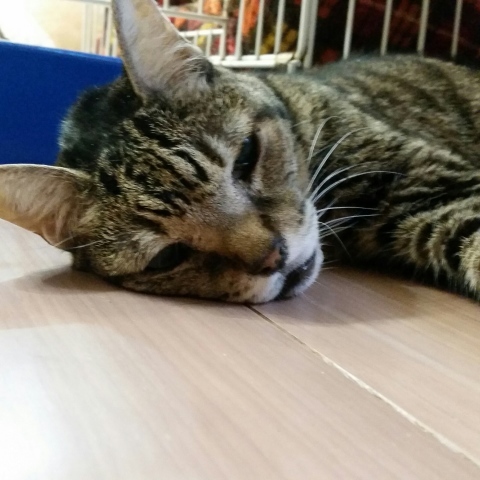 e0144012_05290649.jpeg