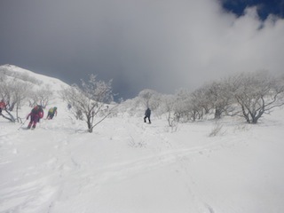 あっぱれ百名山！！…伊吹山_c0359615_21263206.jpg