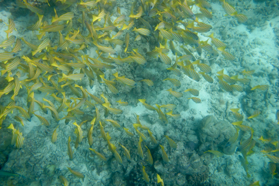 e0387424_1656501.jpg