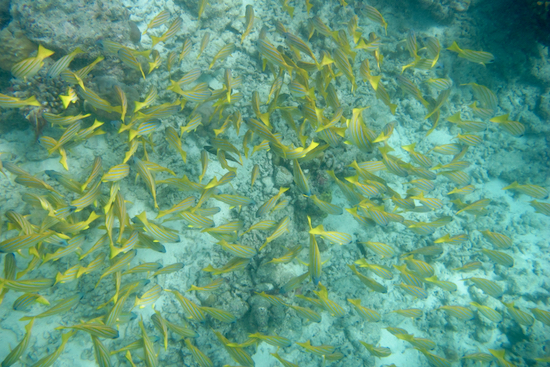 e0387424_16565310.jpg