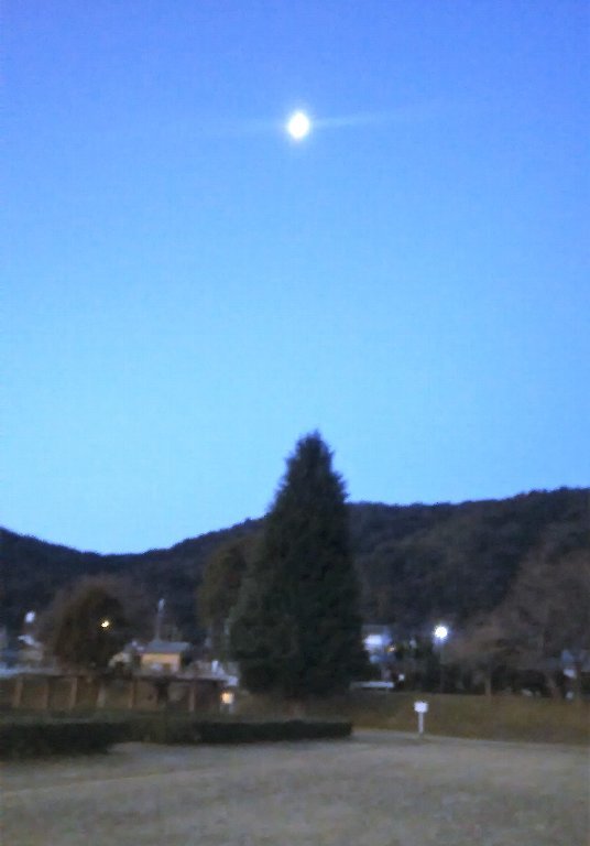 c0355331_13460310.jpg