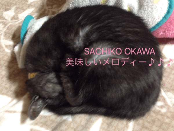 ねこ、まるくなる。_e0154033_21443649.gif