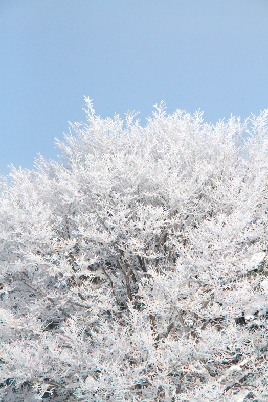 f0009433_22245572.jpg