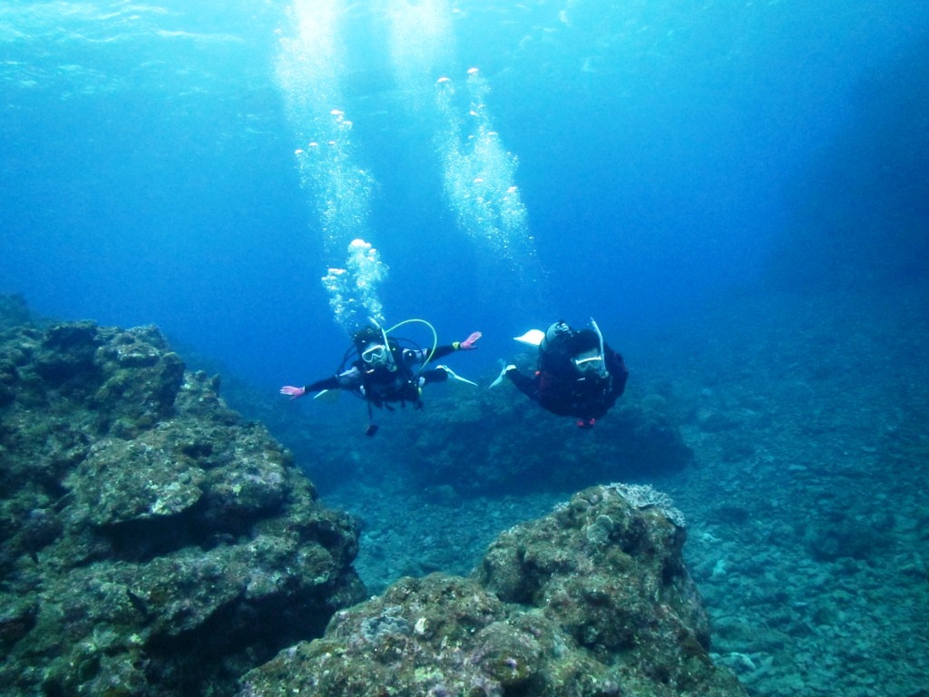 青い海でダイビング~(^^♪_a0189838_10282435.jpg