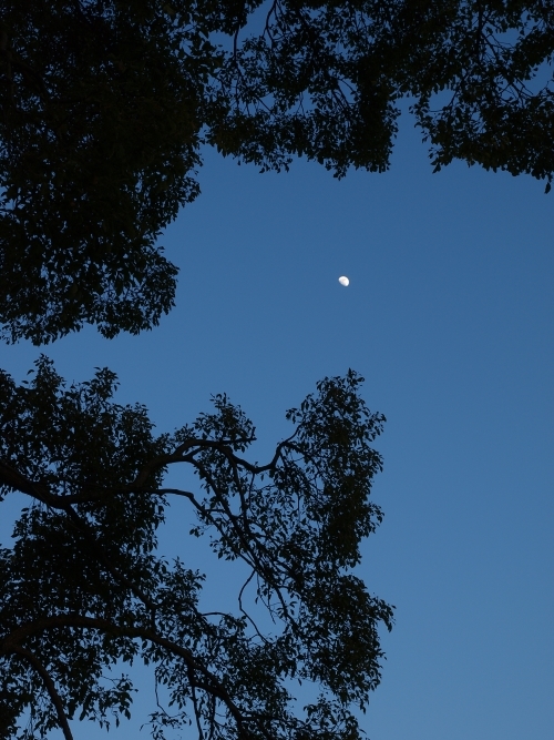 c0281841_13433207.jpg