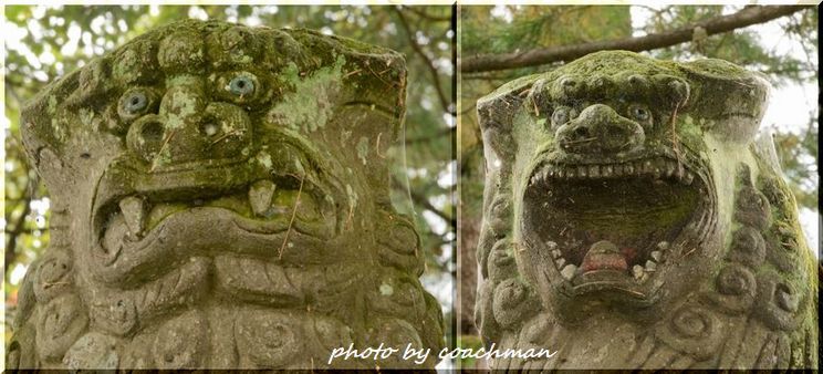 上清川神社 狛犬（帯広市）_a0315942_22094929.jpg