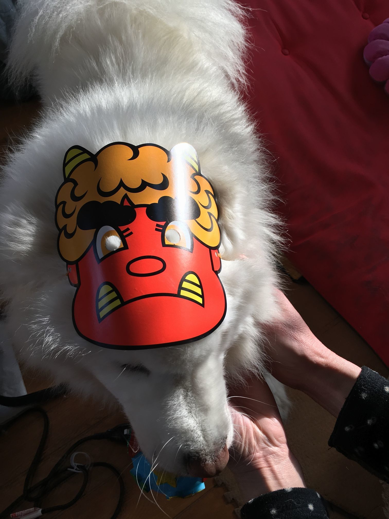立春とは名ばかり寒波到来_f0128542_15030051.jpg