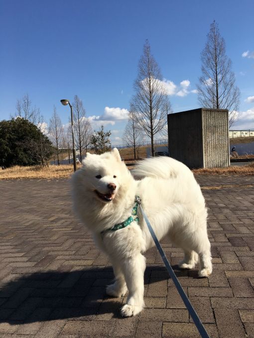 立春とは名ばかり寒波到来_f0128542_15091827.jpg