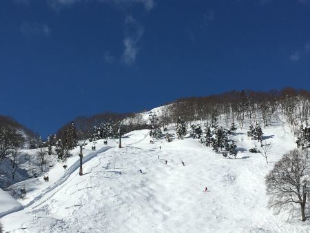 f0107543_20152776.jpg