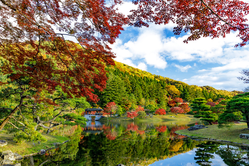 京都の紅葉2017 魅惑の修学院離宮（浴龍池編）_f0155048_23392077.jpg