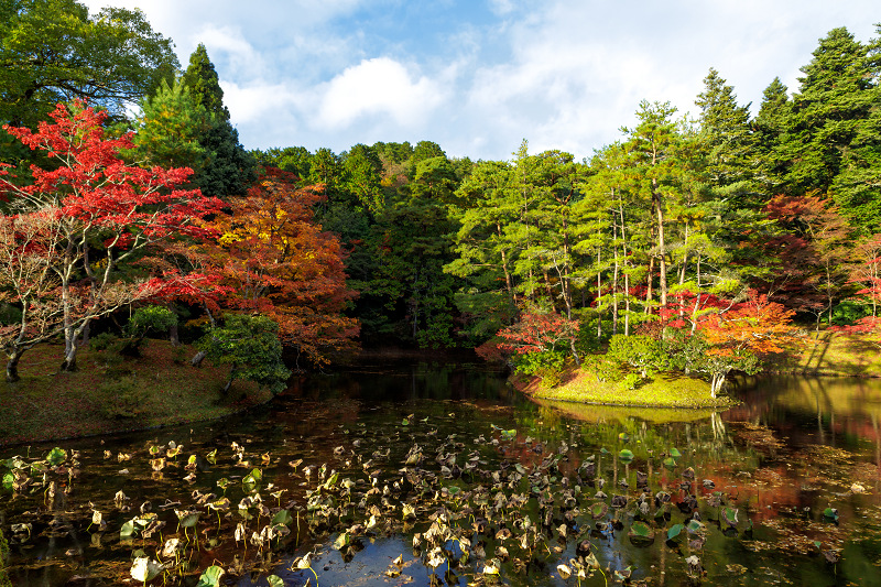 京都の紅葉2017 魅惑の修学院離宮（浴龍池編）_f0155048_2342112.jpg