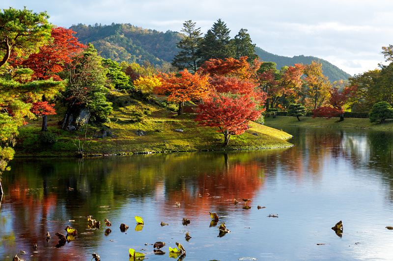 京都の紅葉2017 魅惑の修学院離宮（浴龍池編）_f0155048_23424616.jpg