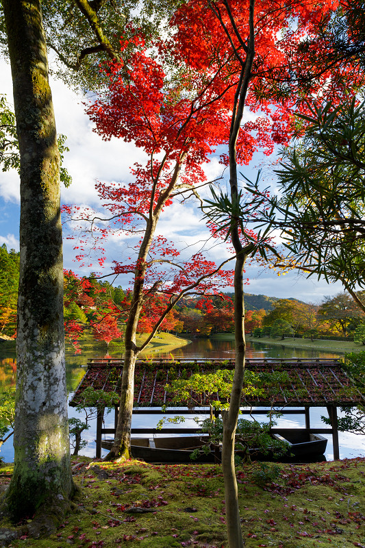 京都の紅葉2017 魅惑の修学院離宮（浴龍池編）_f0155048_23445154.jpg