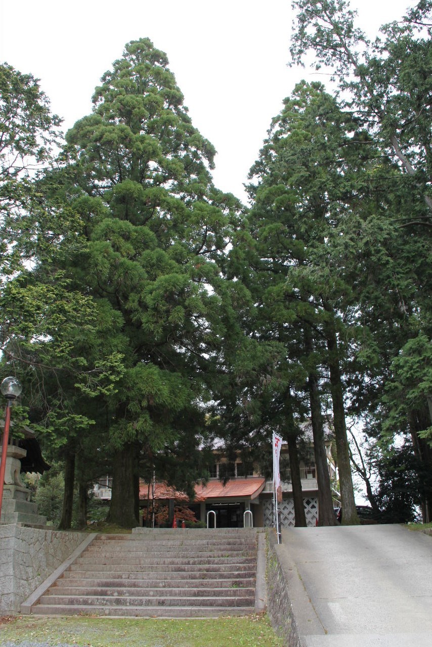 c0011649_22411907.jpg