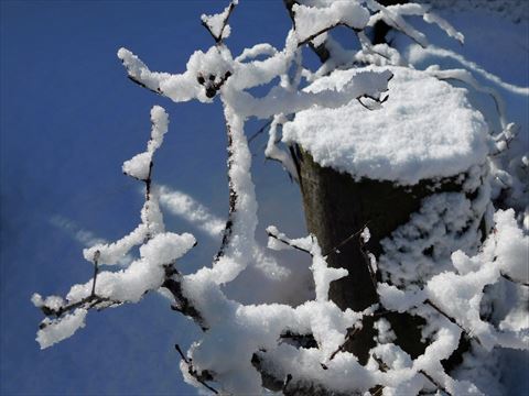 温泉で雪見_b0220251_03365923.jpg