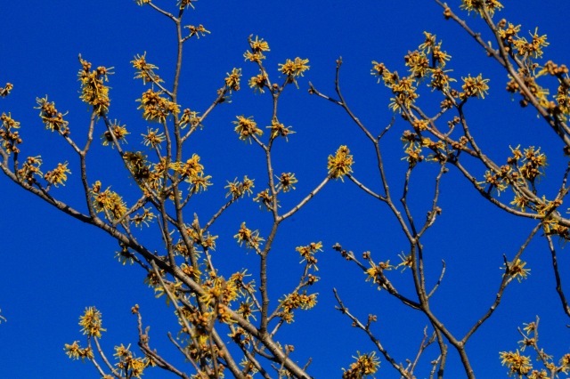 a0248459_15203384.jpg