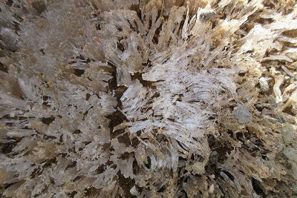 e0372959_14574640.jpg