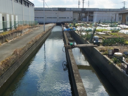 a0187861_16145097.jpg