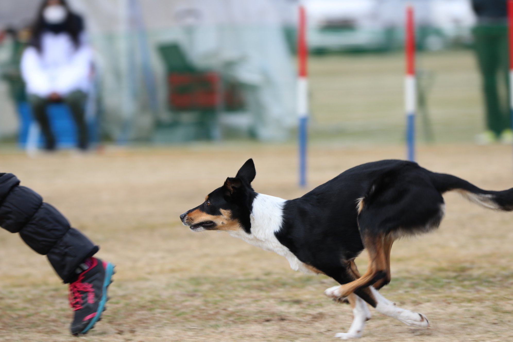 2018.02.03中国ブロック_b0270467_13265450.jpg