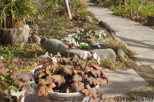 e0181373_20080163.jpg