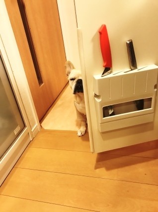 d0048577_21114986.jpeg