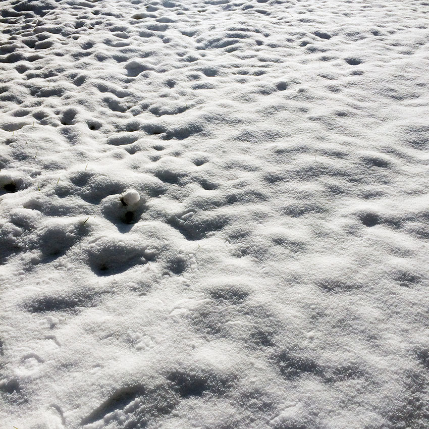 b0321680_22324765.jpg