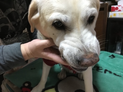 f0315081_22495981.jpeg