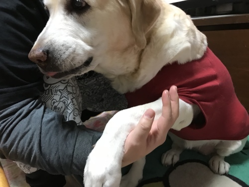 f0315081_22504444.jpeg