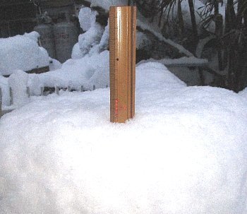 f0003283_18251806.jpg